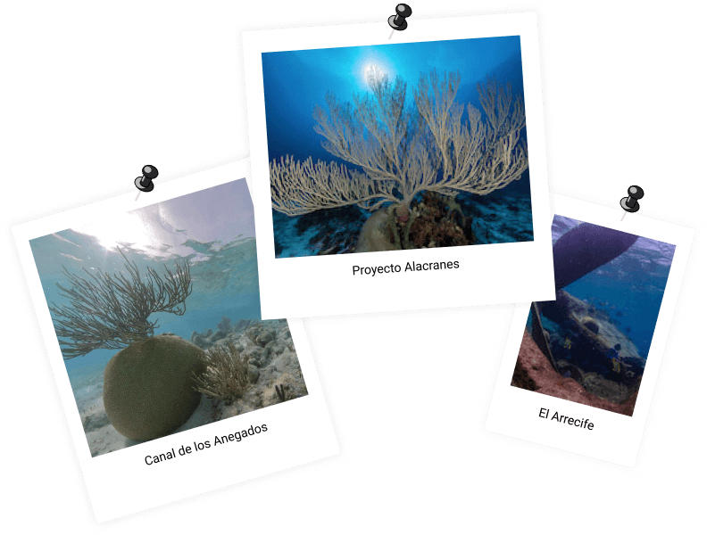 tres postales con imágenes de el arrecife alacranes