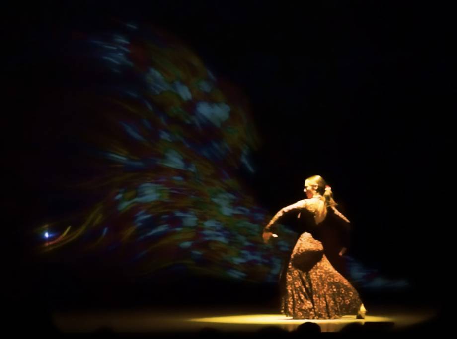 Flamenco interactivo