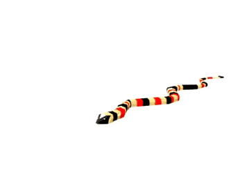 Realidad virtual animales low poly Museo Cholula