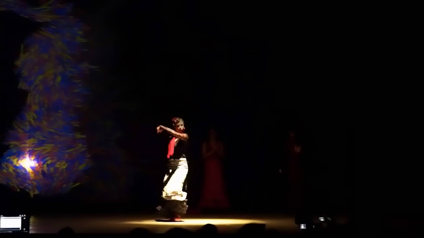Flamenco interactivo Flamenco interactivo